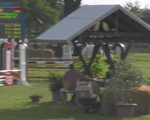 Reitturnier Ihleburg 2021