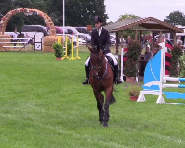 Reitturnier Hanerau-Hademarschen 2021
