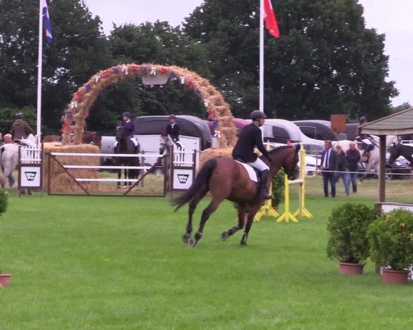Reitturnier Hanerau-Hademarschen 2021