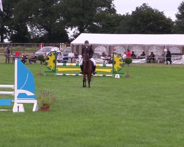 Reitturnier Hanerau-Hademarschen 2021