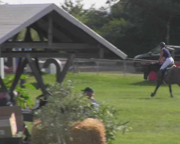 Reitturnier Ihleburg 2021