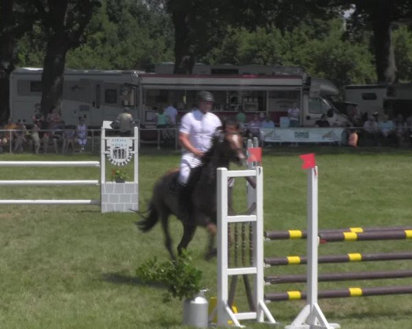 Reitturnier Ihleburg 2021