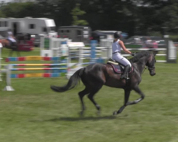 Reitturnier Ihleburg 2021