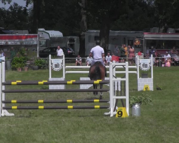 Reitturnier Ihleburg 2021