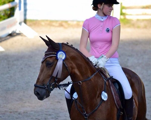 jumper Grosso's Gina (Hanoverian, 1995, from Grosso Z)