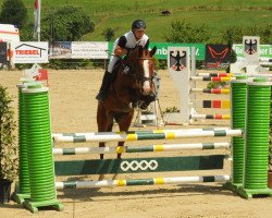 jumper Chelsea (Hanoverian, 2008, from Clinton H)