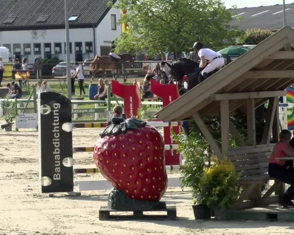 Reitturnier Melle-Ostenfelde 2021