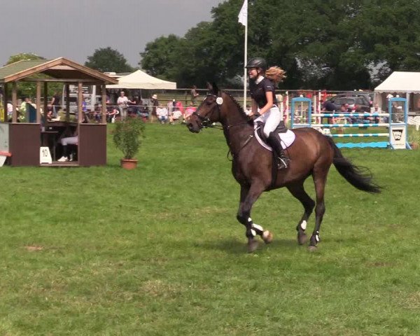 Reitturnier Hanerau-Hademarschen 2021
