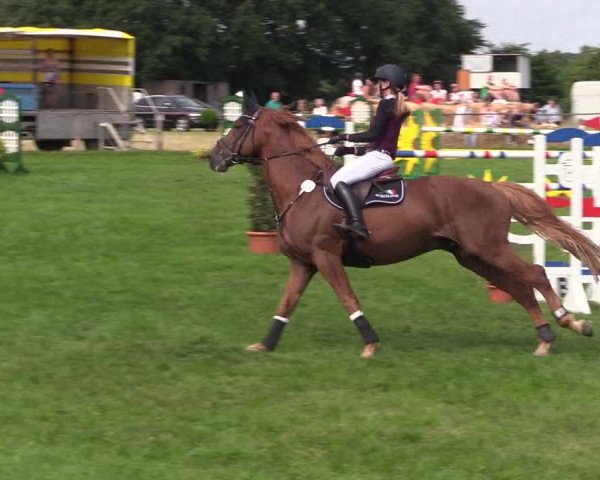 Reitturnier Hanerau-Hademarschen 2021