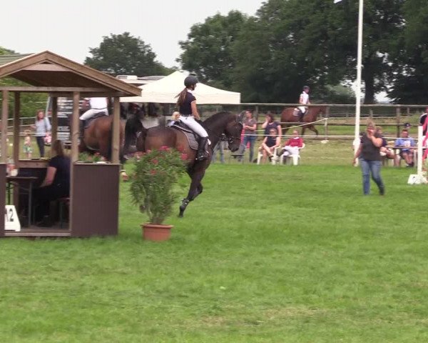 Reitturnier Hanerau-Hademarschen 2021