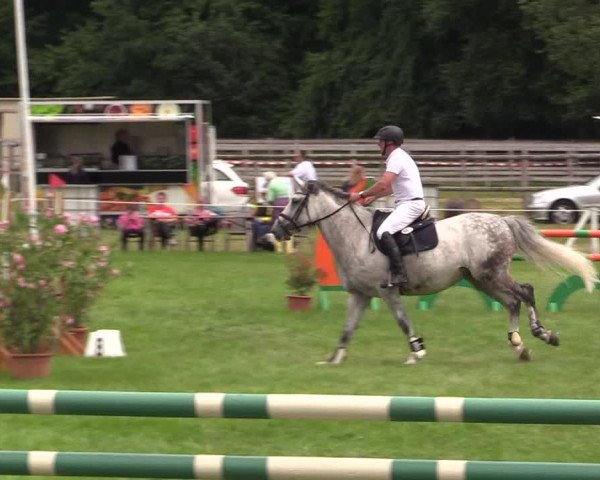 Reitturnier Hanerau-Hademarschen 2021