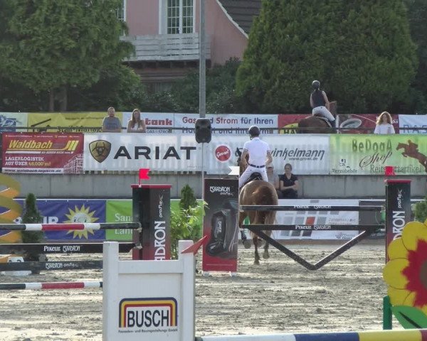 Reitturnier Melle-Ostenfelde 2021