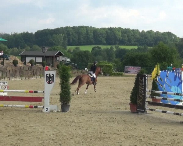 Reitturnier Lindlar-Süttenbach 2021