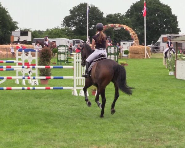 Reitturnier Hanerau-Hademarschen 2021