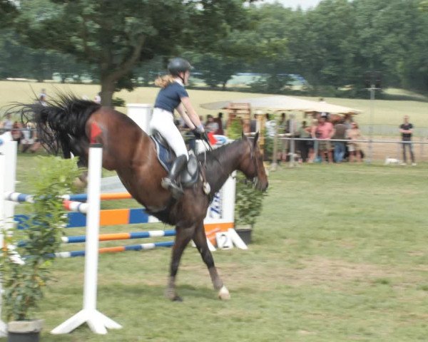 Reitturnier Wohlesbostel 2021