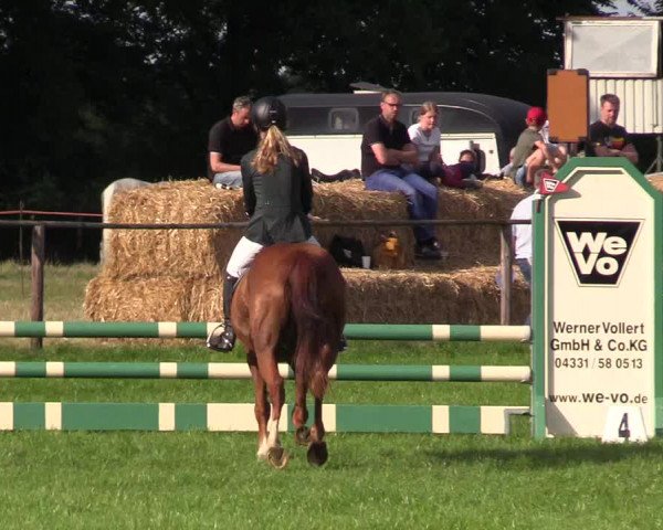 Reitturnier Hanerau-Hademarschen 2021