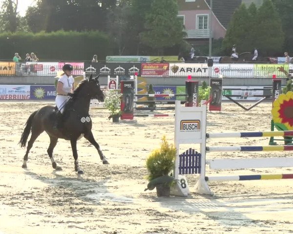 Reitturnier Melle-Ostenfelde 2021