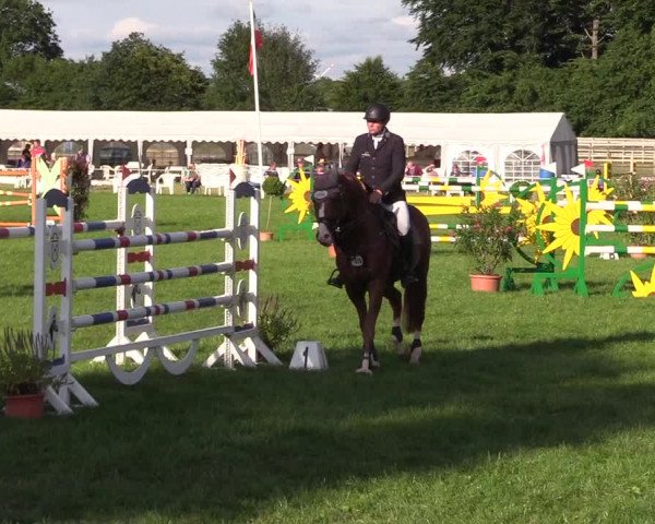 Reitturnier Hanerau-Hademarschen 2021