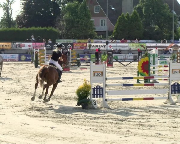 Reitturnier Melle-Ostenfelde 2021