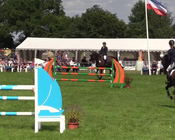 Reitturnier Hanerau-Hademarschen 2021