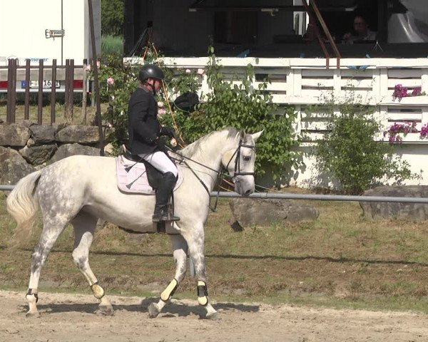 Reitturnier Neunkirchen-City 2021