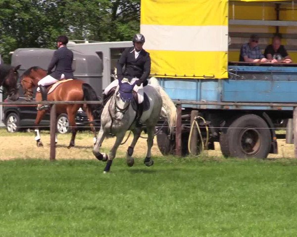 Reitturnier Hanerau-Hademarschen 2021