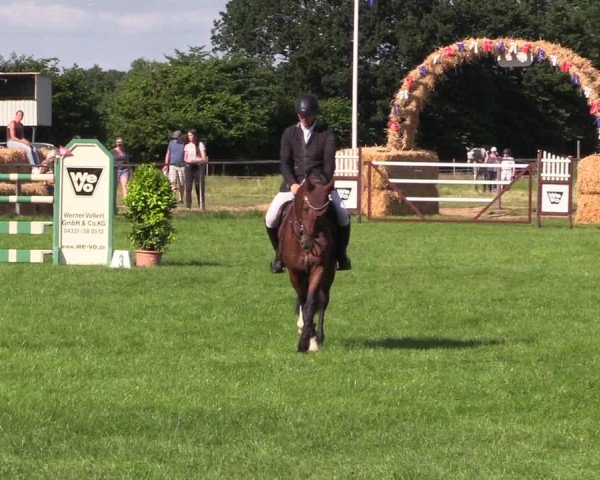 Reitturnier Hanerau-Hademarschen 2021