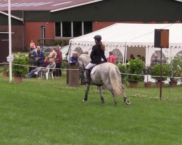 Reitturnier Hanerau-Hademarschen 2021
