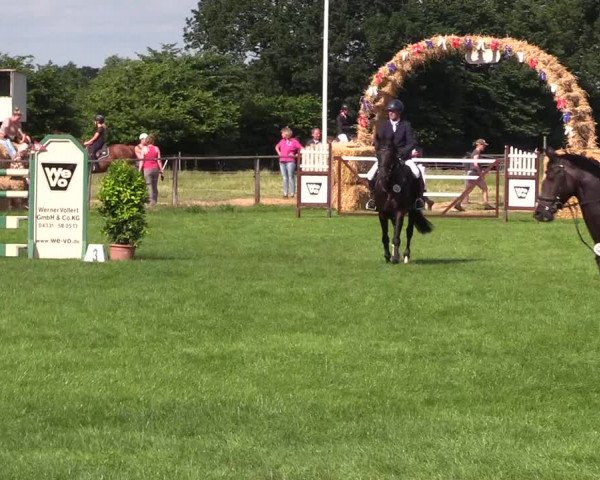 Reitturnier Hanerau-Hademarschen 2021