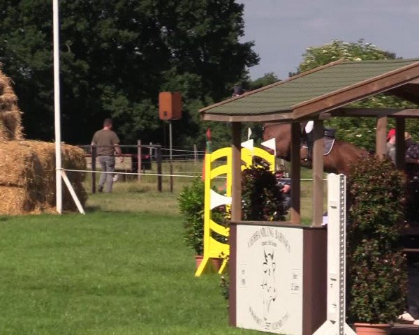 Reitturnier Hanerau-Hademarschen 2021