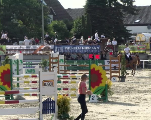 Reitturnier Melle-Ostenfelde 2021