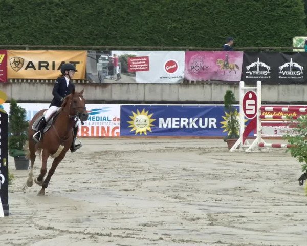 Reitturnier Melle-Ostenfelde 2021