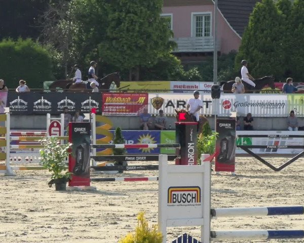 Reitturnier Melle-Ostenfelde 2021