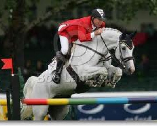horse Redefin (KWPN (Royal Dutch Sporthorse), 1998, from Larino)