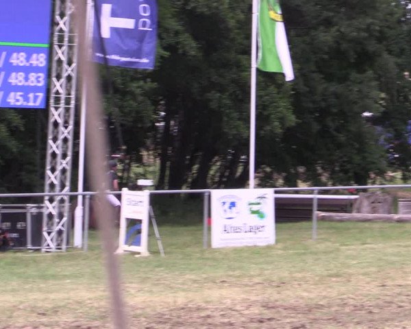 Reitturnier Niederwerbig 2021