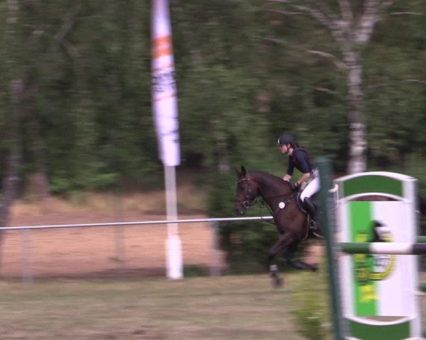 Reitturnier Niederwerbig 2021
