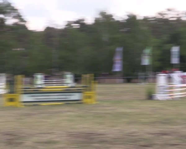 Reitturnier Niederwerbig 2021