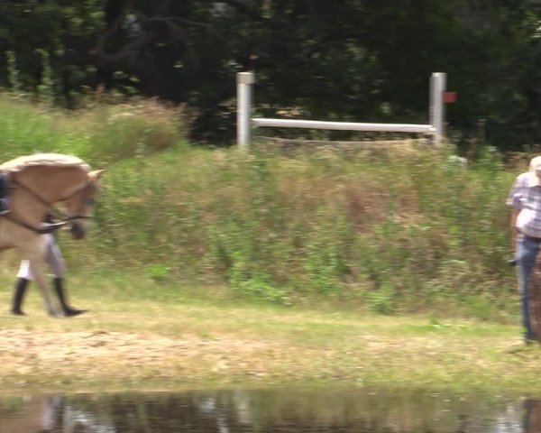 Reitturnier Niederwerbig 2021