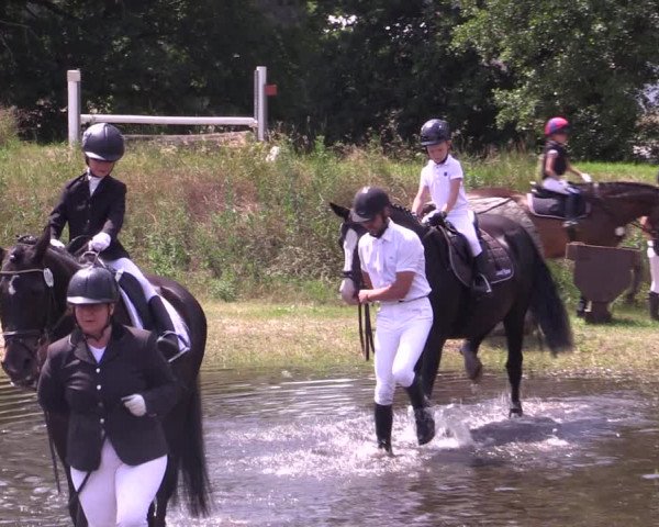 Reitturnier Niederwerbig 2021