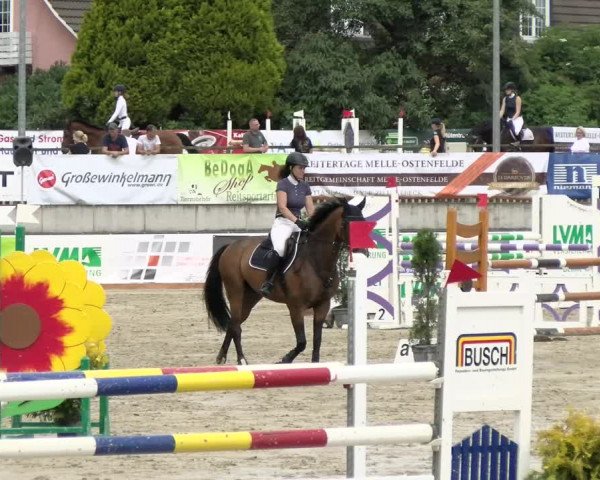 Reitturnier Melle-Ostenfelde 2021