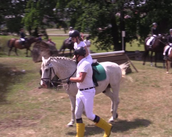 Reitturnier Niederwerbig 2021