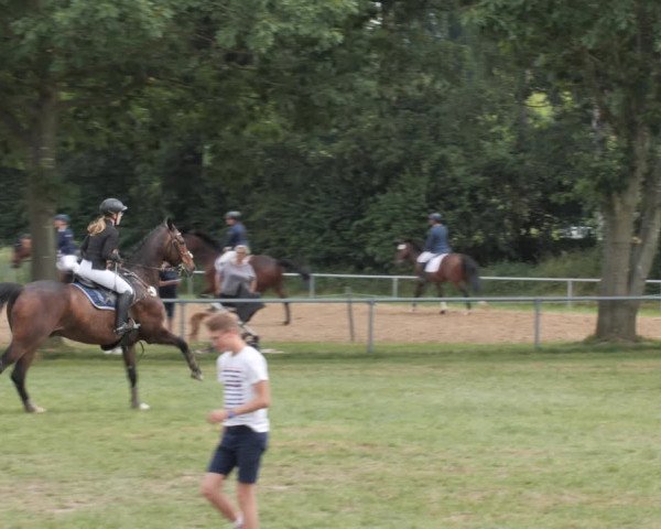 Reitturnier Wohlesbostel 2021
