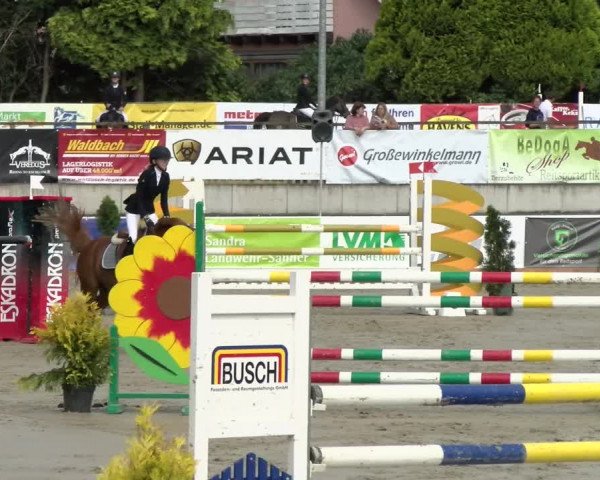 Reitturnier Melle-Ostenfelde 2021