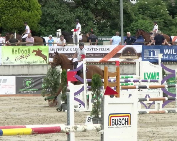 Reitturnier Melle-Ostenfelde 2021