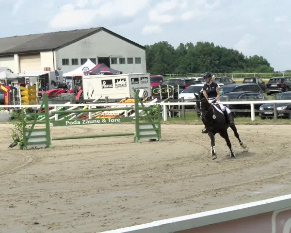 Reitturnier Melle-Ostenfelde 2021