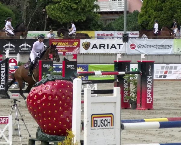 Reitturnier Melle-Ostenfelde 2021