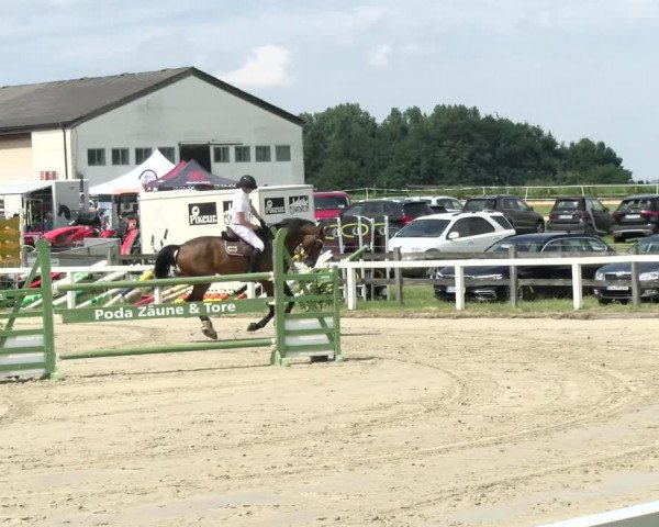 Reitturnier Melle-Ostenfelde 2021