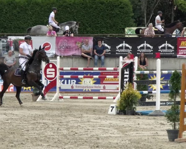 Reitturnier Melle-Ostenfelde 2021