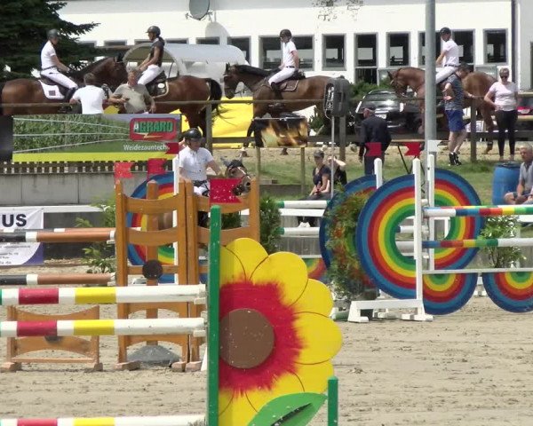 Reitturnier Melle-Ostenfelde 2021