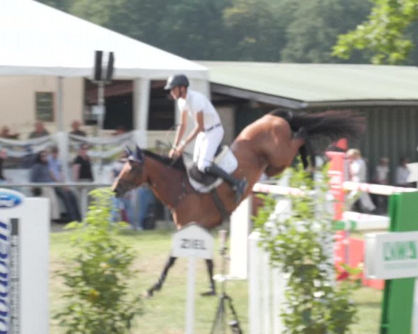 Reitturnier Wohlesbostel 2021